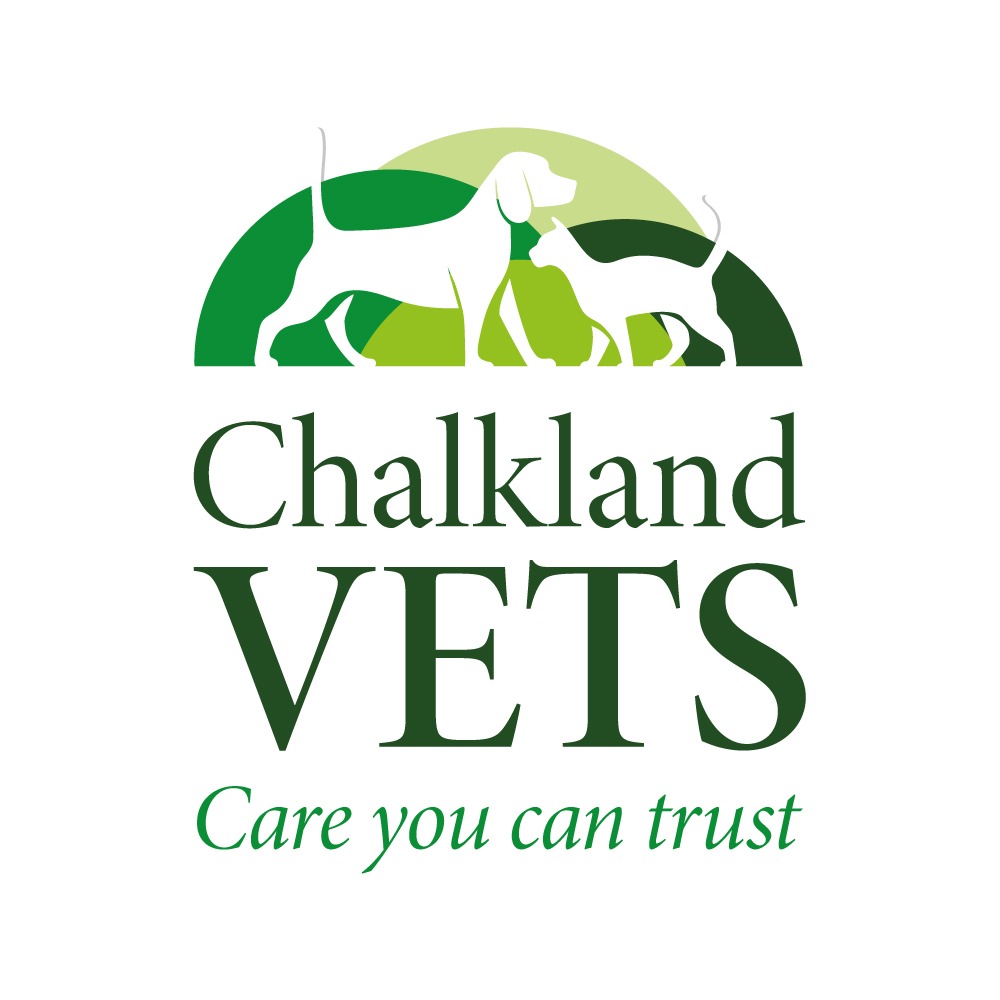 Chalkland-square(SocialMedia)-RGB
